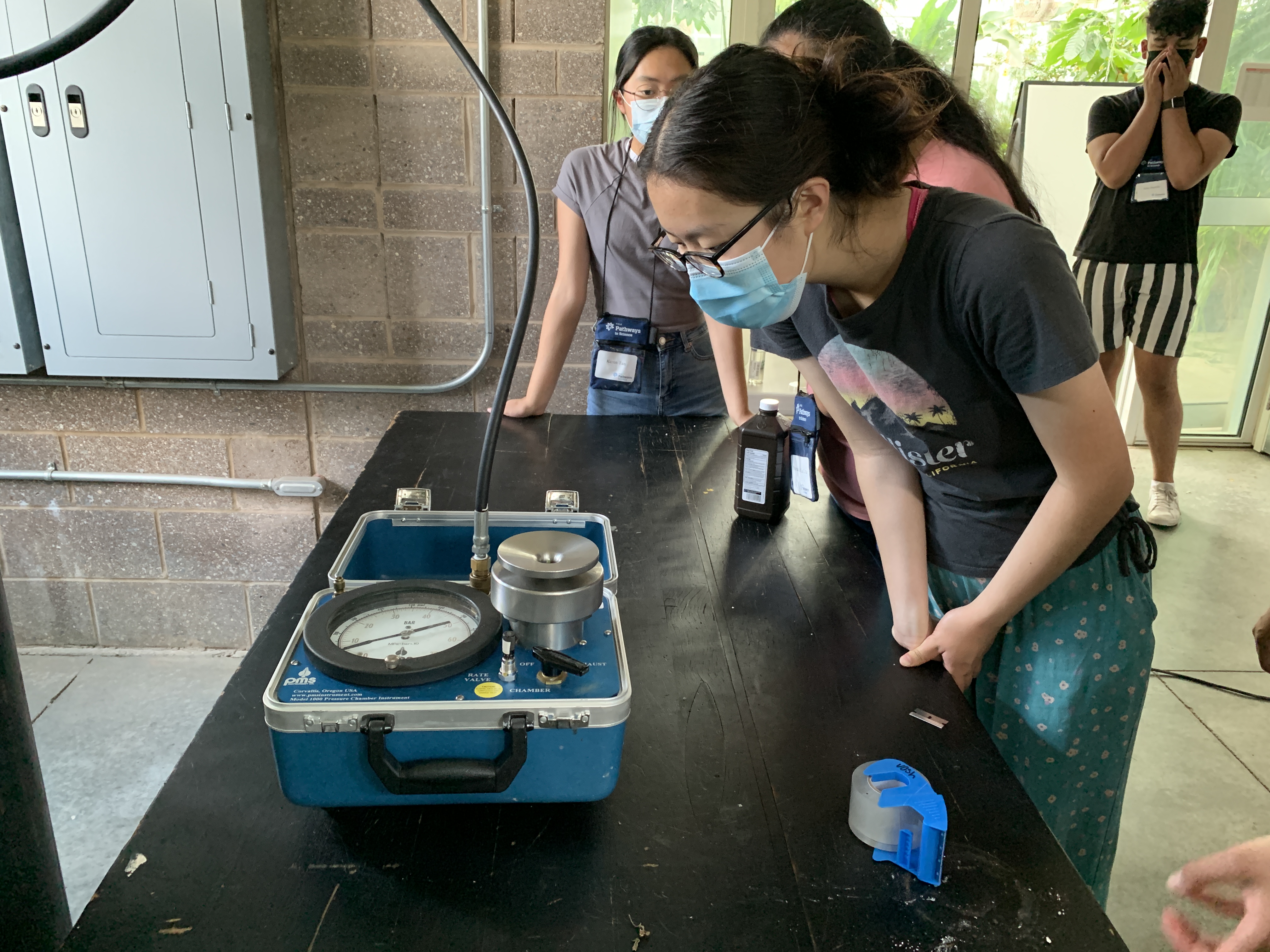 Photosynthesis Lab