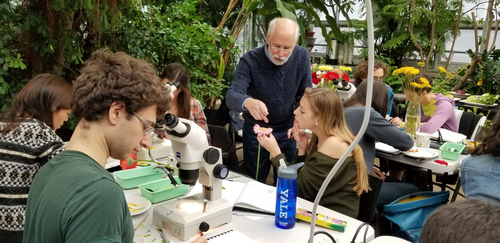 Yale Plant Diversity class