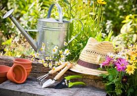 watering can with garden tools and sun hat