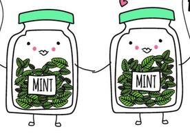 jars of mint holding hands