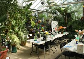 Our event space is set up for the study of plants.