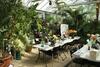 Our event space is set up for the study of plants. Our event space is set up for the study of plants.